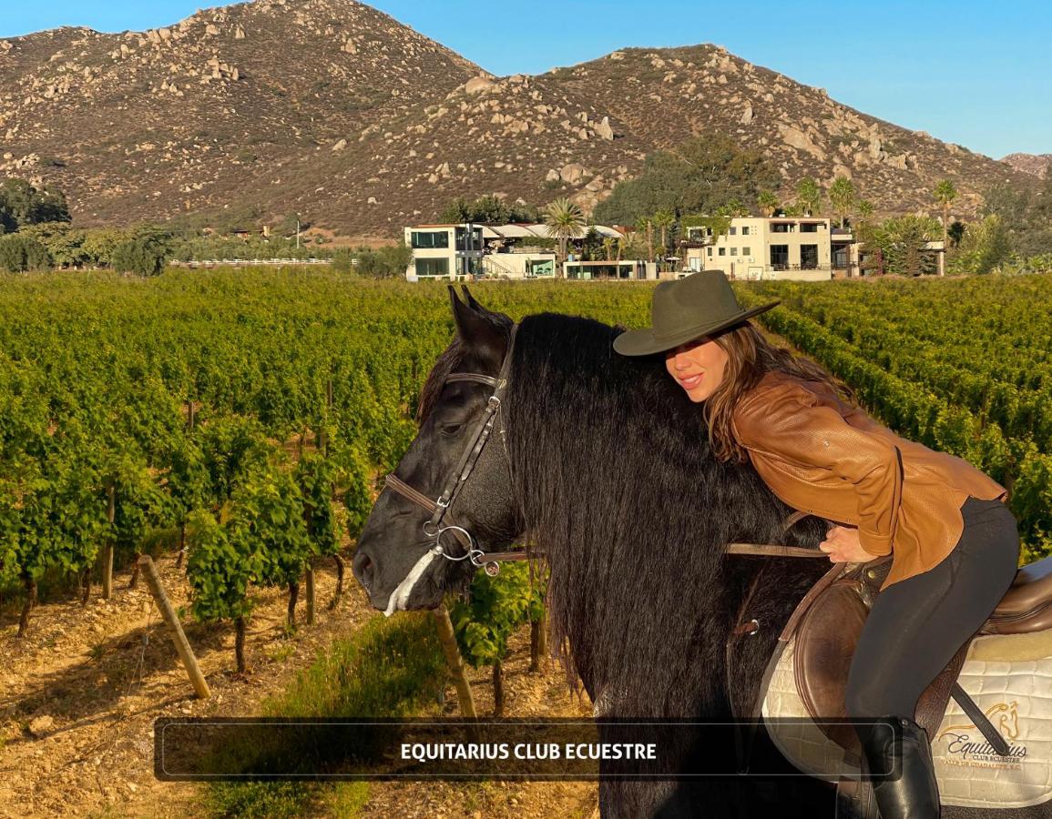 Entre Vinedos By Hotel Boutique Guadalupe Eksteriør billede