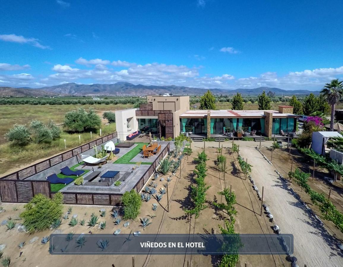 Entre Vinedos By Hotel Boutique Guadalupe Eksteriør billede