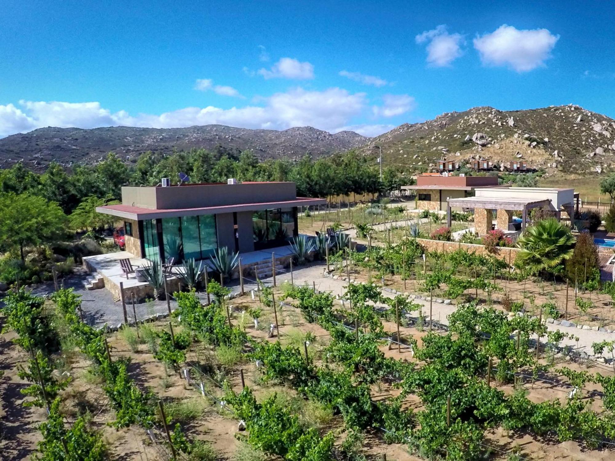 Entre Vinedos By Hotel Boutique Guadalupe Værelse billede